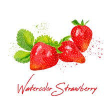 水彩绘美味草莓矢量下载