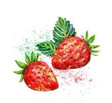 2个水彩绘草莓矢量图片