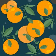 创意带叶橙子矢量图下载