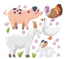 5款卡通农场动物设计矢量