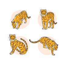 4款手绘老虎设计矢量图片