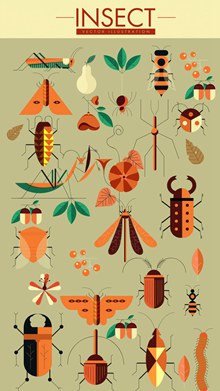 18款创意昆虫设计矢量图