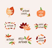 9款彩色秋季元素标签图矢量