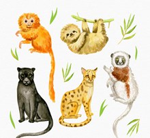 5款可爱水彩绘动物矢量下载