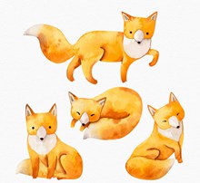 4款水彩绘狐狸设计矢量