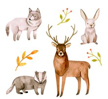 4款彩绘野生动物和树枝矢量素材