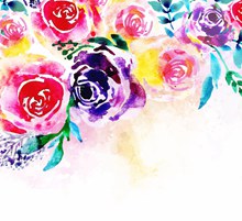 水彩绘多种颜色玫瑰花矢量图下载