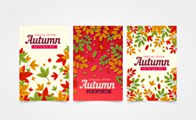 3款彩色质感秋季树叶促销卡片图矢量图