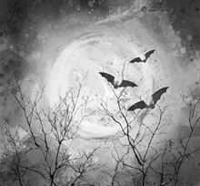 彩绘夜晚枯树蝙蝠风景矢量图片