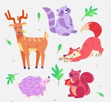 5款彩色森林动物设计图矢量图片