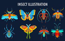 8款彩色昆虫设计矢量图片