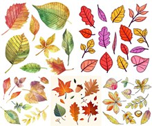水彩创意秋天树叶主题设计矢量
