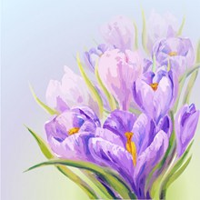 紫色花卉水彩画矢量图