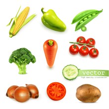 新鲜蔬菜矢量图片