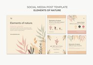 自然要素社交媒体设计模板
