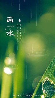 绿色雨水节气移动端广告设计psd素材