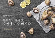 贝壳韩国海鲜广告psd素材