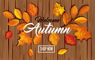 秋季叶子横幅模板矢量素材下载