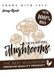 蘑菇美食海报2矢量图