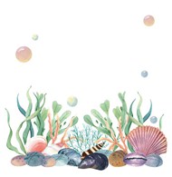 水彩海洋生物矢量图片
