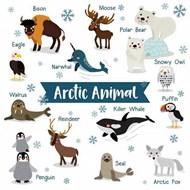 卡通北极动物矢量素材下载
