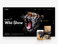 野生动物网站模板矢量图