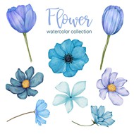 蓝色水彩花朵矢量图