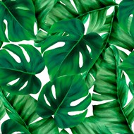 水彩绿色热带树叶矢量素材下载