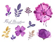 紫色水彩花朵矢量图片