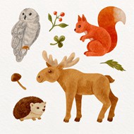 水彩画森林动物插图矢量下载