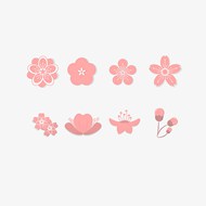 粉色淡雅腊梅花朵矢量图下载
