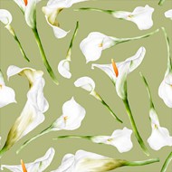 马蹄莲植物花卉背景矢量模板