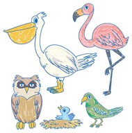 童趣卡通鸟类插图矢量图