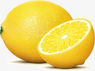 柠檬水果矢量模板