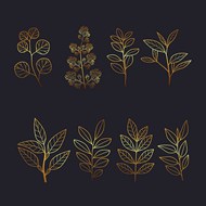 手绘金色植物树叶矢量图下载
