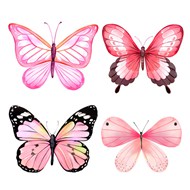 粉色水彩蝴蝶矢量图下载
