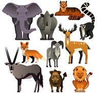 动物物种平面矢量图下载