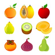 彩色各种各种水果矢量模板