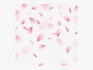 掉落的粉红花瓣背景矢量图片