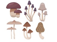 各种蘑菇合集矢量图下载