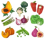 蔬菜烹饪食材矢量图下载