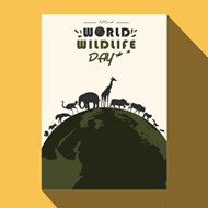 剪影世界野生动物日海报矢量图下载