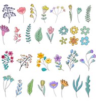 各种颜色种类的花朵矢量图片