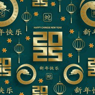 2025蛇年新春庆典矢量图